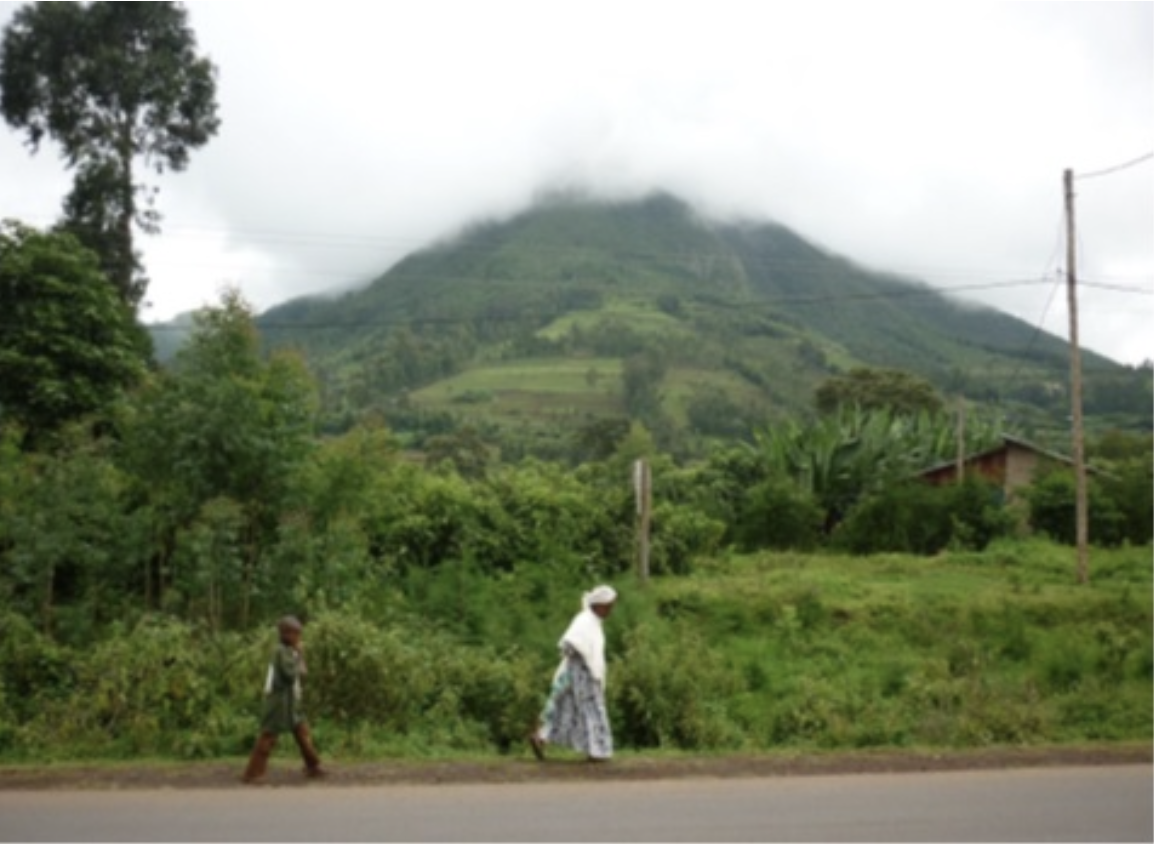FMNR-Projektregion Sodo/Äthiopien, „wie im Schwarwald“